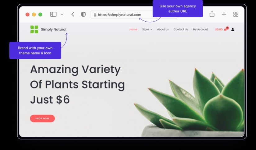 white-lable-visual astra pro free download